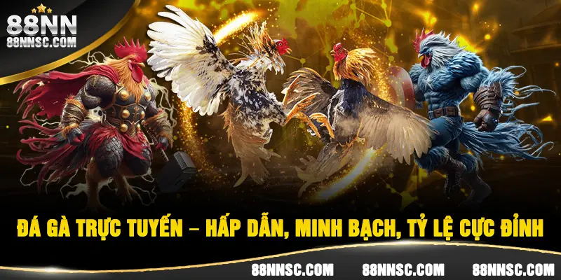 Sảnh đá gà chất lừ qua từng khoảnh khắc